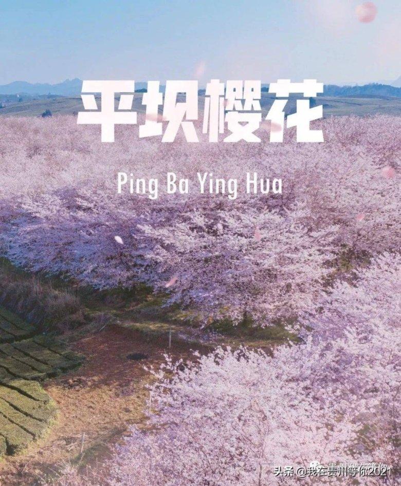 石器战争